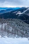 /Ski/2024/Images/2598/_1140537Icon.jpg