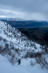 /Ski/2024/Images/2598/_1140538Icon.jpg