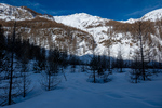 /Ski/2024/Images/2602/_1140741Icon.jpg