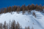 /Ski/2024/Images/2602/_1140746Icon.jpg