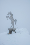 /Ski/2024/Images/2608/_1150515Icon.jpg