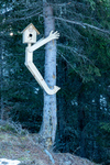 /Ski/2024/Images/2659/_1170738Icon.jpg