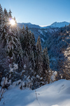 /Ski/2024/Images/2660/_1170807Icon.jpg