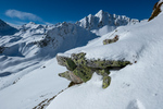 /Ski/2024/Images/2660/_1170819Icon.jpg