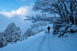 /Ski/2024/Images/2661/_1180011Icon.jpg