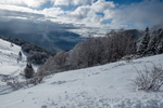 /Ski/2024/Images/2661/_1180028Icon.jpg