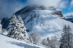 /Ski/2024/Images/2661/_1180031Icon.jpg