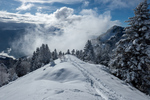 /Ski/2024/Images/2661/_1180033Icon.jpg