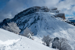 /Ski/2024/Images/2661/_1180034Icon.jpg