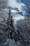 /Ski/2024/Images/2661/_1180038Icon.jpg