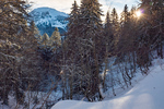 /Ski/2024/Images/2663/_1180079Icon.jpg