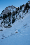 /Ski/2024/Images/2665/_1180115Icon.jpg