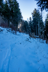 /Ski/2024/Images/2668/_1180171Icon.jpg
