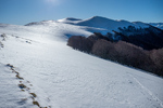 /Ski/2024/Images/2668/_1180176Icon.jpg