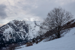 /Ski/2025/Images/2666/_1180181Icon.jpg