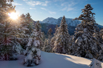 /Ski/2025/Images/2669/_1180220Icon.jpg