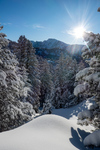 /Ski/2025/Images/2669/_1180222Icon.jpg