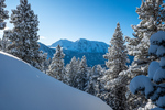 /Ski/2025/Images/2669/_1180223Icon.jpg