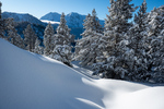 /Ski/2025/Images/2669/_1180227Icon.jpg