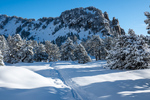 /Ski/2025/Images/2669/_1180228Icon.jpg