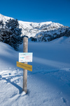 /Ski/2025/Images/2669/_1180230Icon.jpg