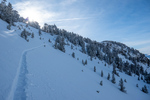 /Ski/2025/Images/2669/_1180236Icon.jpg
