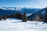 /Ski/2025/Images/2670/_1180257Icon.jpg