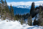 /Ski/2025/Images/2672/_1180369Icon.jpg
