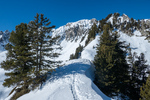 /Ski/2025/Images/2672/_1180383Icon.jpg