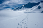/Ski/2025/Images/2678/_1180693Icon.jpg