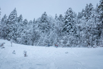 /Ski/2025/Images/2683/_1180811Icon.jpg