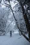 /Ski/2025/Images/2683/_1180813Icon.jpg