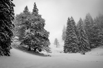 /Ski/2025/Images/2683/_1180814Icon.jpg