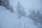 /Ski/2025/Images/2683/_1180818Icon.jpg
