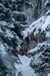 /Ski/2025/Images/2683/_1180819Icon.jpg