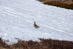 /Ski/2025/Images/2695/_1200049Icon.jpg