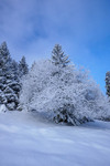 /Ski/2025/Images/2723/_1210596Icon.jpg