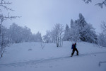 /Ski/2025/Images/2726/_1210632Icon.jpg