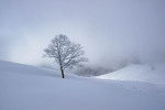 /Ski/2025/Images/2726/_1210639Icon.jpg