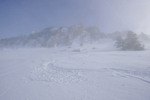 /Ski/2025/Images/2728/P1210719Icon.jpg