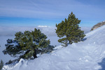 /Ski/2025/Images/2728/_1210696Icon.jpg
