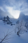 /Ski/2025/Images/2729/P1210722Icon.jpg