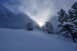 /Ski/2025/Images/2729/P1210724Icon.jpg