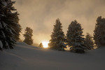 /Ski/2025/Images/2729/P1210772Icon.jpg