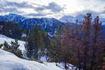 /Ski/2025/Images/2734/_1220031Icon.jpg