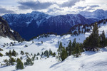 /Ski/2025/Images/2734/_1220042Icon.jpg