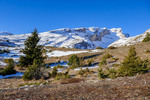 /Ski/2025/Images/2735/_1220084Icon.jpg
