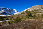 /Ski/2025/Images/2735/_1220085Icon.jpg
