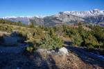 /Ski/2025/Images/2735/_1220169Icon.jpg