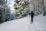 /Ski/2026/Images/2737/_1220217Icon.jpg
